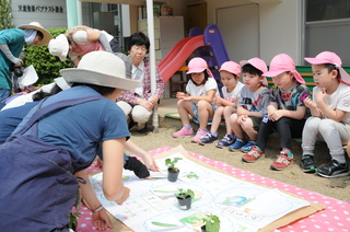 植える苗の説明です