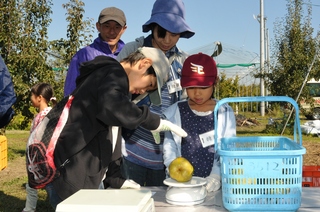 重さを量って仕分けします