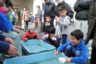 お魚すくいに挑戦！