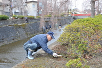 倉津川ボランティア清掃3