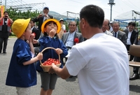 甘いさくらんぼを召し上がれ