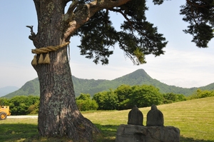 締め掛けの松と姥神