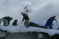 懸命な雪下ろし作業