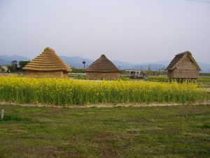 西沼田遺跡公園